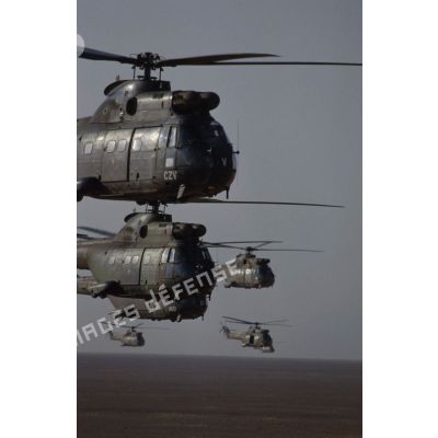 Sept hélicoptères de transport Puma SA-330 des 1er et 5e RHC survolent le désert en formation groupée lors de l'héliportage de groupes de combat du 1er RI vers la zone d'opération nord.