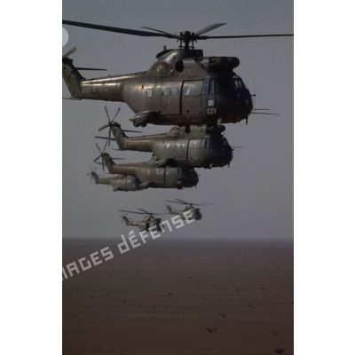 Six hélicoptères de transport Puma SA-330 des 1er et 5e RHC survolent le désert en formation groupée lors de l'héliportage de groupes de combat du 1er RI vers la zone d'opération nord.