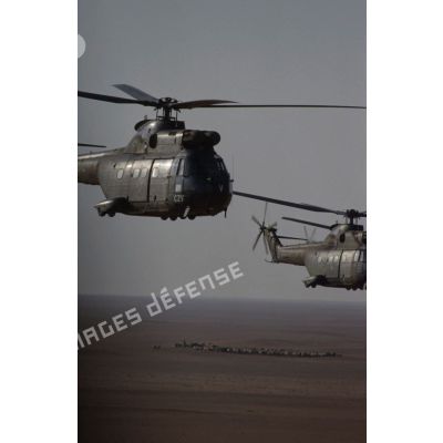 Deux hélicoptères de transport Puma SA-330 des 1er et 5e RHC survolent le désert en formation groupée lors de l'héliportage de groupes de combat du 1er RI vers la zone d'opération nord.