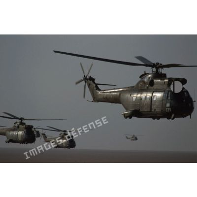 Qautre hélicoptères de transport Puma SA-330 des 1er et 5e RHC survolent le désert en formation groupée lors de l'héliportage de groupes de combat du 1er RI vers la zone d'opération nord.