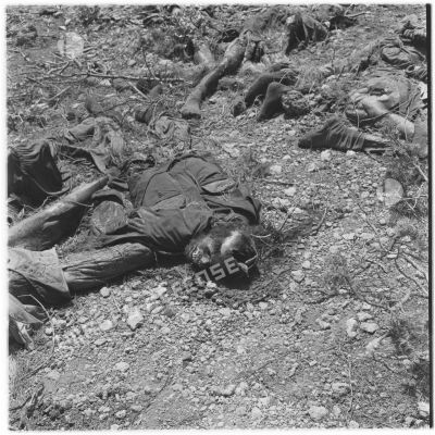 Cadavres du charnier de Dar el Chioukh.