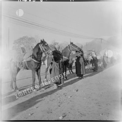 Militaires avec leurs chevaux dans la région de Méchéria.
