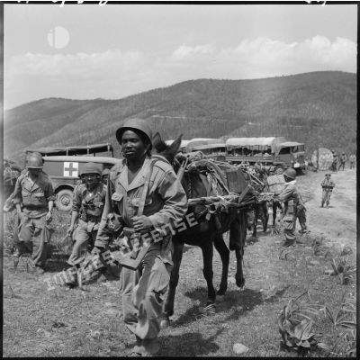 Une compagnie du 15ème régiment de tirailleurs sénégalais (RTS) part avec ses mulets chargés de canons sans recul pour se mettre en place dans le bouclage.