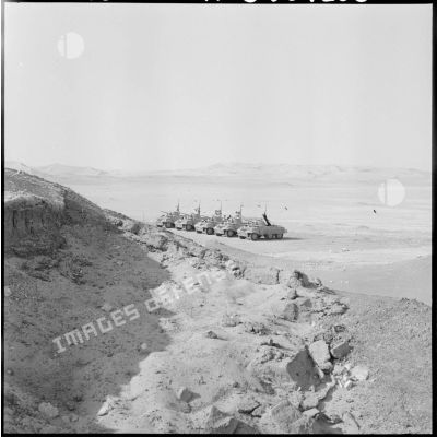 Alignement de Light Armored Car M8 dans le désert.