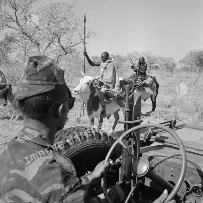 Un soldat français à bord d'une Jeep, face à des hommes et femmes voyageant avec des bovins.