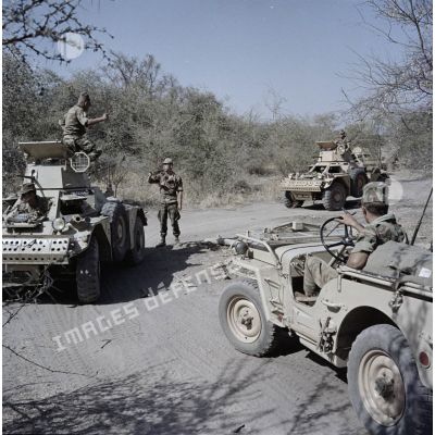 Engins blindé de reconnaissance de typre Ferret et Jeep dans la brousse au Tchad.