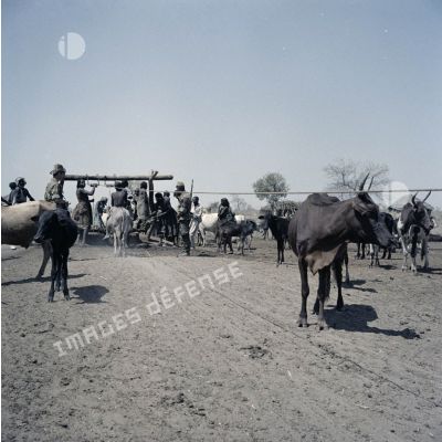 Population civile et soldats français autour d'un puits dans le village tchadien de Gambir.