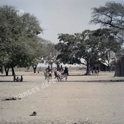 Jeunes garçons sur des ânes au Tchad.