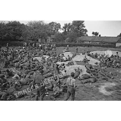 Prisonniers canadiens et anglais, peu après le débarquement et le raid de Dieppe (opération Jubilee).