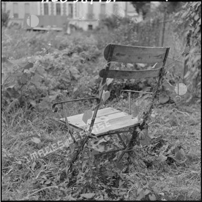 Une chaise dans un jardin.