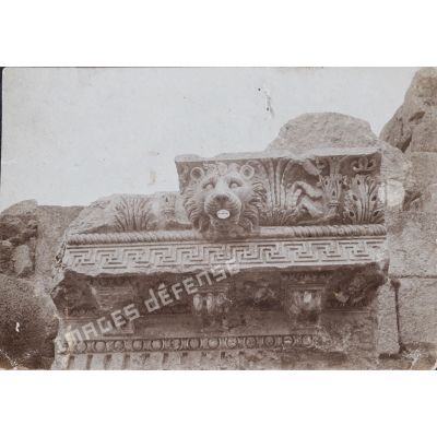 [Tête de lion, temple de Jupiter, Baalbek, juin 1923 - mars 1924.]