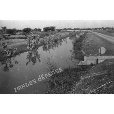 République du Sénégal, région de Saint-Louis, 1980. Canal principal de la zone irriguée de la Saed.