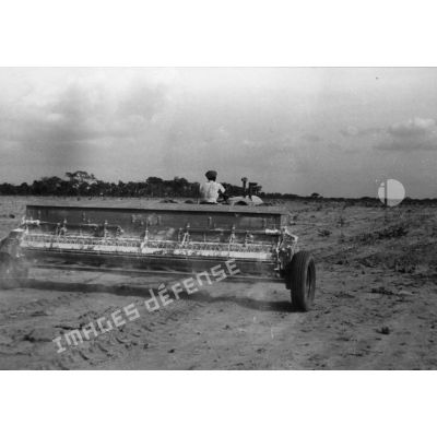 République du Sénégal, Sefa, 1954. Culture mécanisée de l'arachide. Epandage d'engrais minéraux avant le déchaumage.