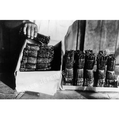 République malgache, 1952. Mise en boite des paquets de gousses de vanille.