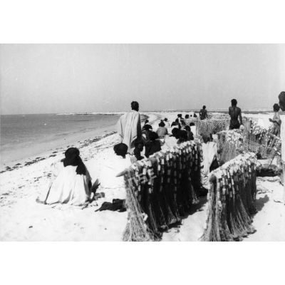 République islamique de Mauritanie, Cap Timiris, 1959. Un banc de mulets ayant été signalé, les pêcheurs attendent son passage auprès de leurs filets.