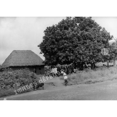 République du Dahomey, village de Zihan, 1957. L'arbre à palabres du village.