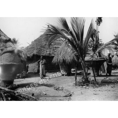 République togolaise, village de Kolligbo (route Anieakaba à Pallakoko), 1954. Cases et greniers à mil. Au premier plan : un jeune cocotier.