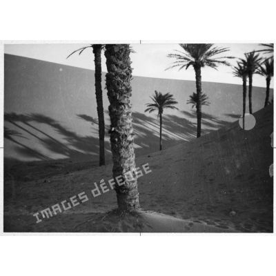 Algérie, Sahara, 1948. Dunes d'In Salah.