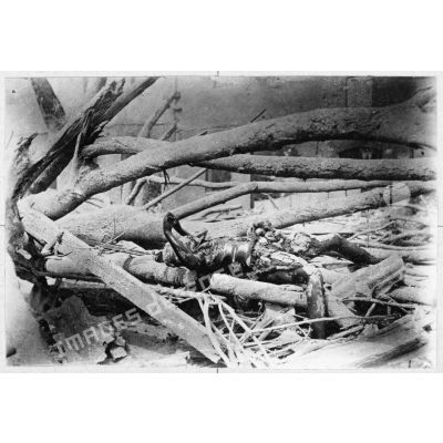 Mai 1902. Après l'éruption de la montagne Pelée. Cadavre dans une rue de Saint-Pierre.