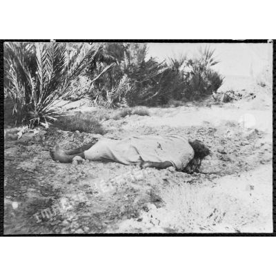 Cadavre marocain dans l'oasis de Tuzzouguerte. [légende d'origine]