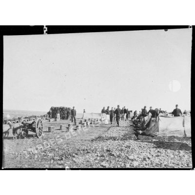 Camp de l'artillerie de montagne à Berkane, 1907. [légende d'origine]