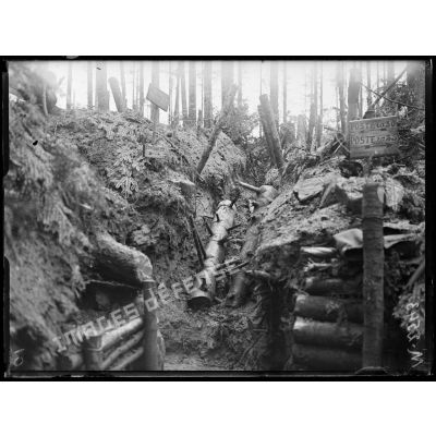 Cote 675, bois bouleversé par les minenwerfer dans les nuits des 7 au 10 août 1916. [légende d'origine]