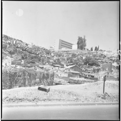 Alger, 20 mai - 5 juillet 1962. Vue prise au cours de patrouilles. Du boulevard du Corps Expéditionnaire près de Diar el maçoul : les drapeaux vert et blancs se multiplient. [légende d'origine]
