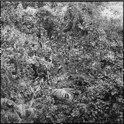 Retour pénible en descente dans la jungle pour les soldats du 8e bataillon de parachutistes de choc (BPC) au cours d'une reconnaissance au nord de Diên Biên Phu.