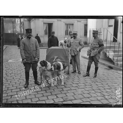 Paris, Ministère de la guerre. Service de Santé, voiturettes attelées de chiens. [légende d'origine]