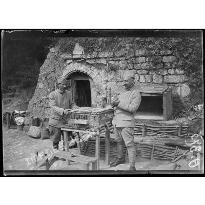 [Scène de la vie quotidienne dans un campement : des soldats s'occupent de pigeons.]