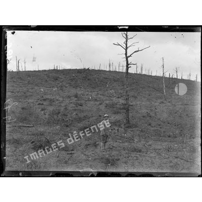 Dans l'Aisne, le bois des Buttes, les anciennes premières lignes allemandes. [légende d'origine]