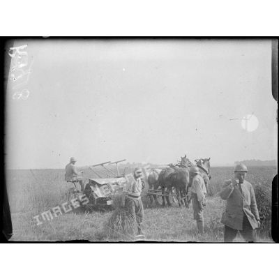 Près Foucaucourt (Somme). Soldats faisant la moisson. [légende d'origine]