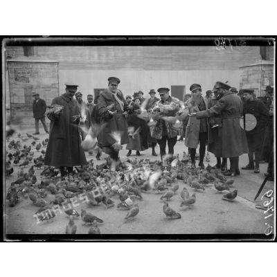 [Photographie de groupe rassemblanrt des journalistes qui donnent à manger à des pigeons.]