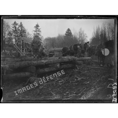 [Soldats canadiens participant à la coupe du bois].