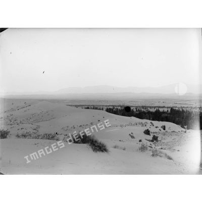 590. Panorama près des blauckaus [sic]. La pépinière et les dunes. [légende d'origine]