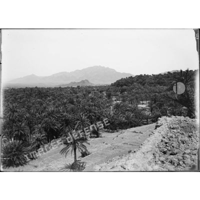 670. Panorama en 5 plaques de Figuig. La palmeraie de Figuig. Première vue. Côté ouest. [légende d'origine]