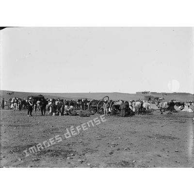 [Algérie, 1907-1918. Convoi du 2e régiment étranger.]