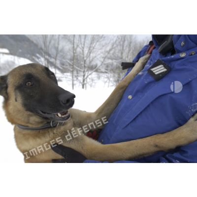 Un chien du PGHM (peloton de gendarmerie de haute montagne) et son maître lors d'un exercice de recherche après avalanche à Pierrefitte-Nestalas (Hautes-Pyrénées).