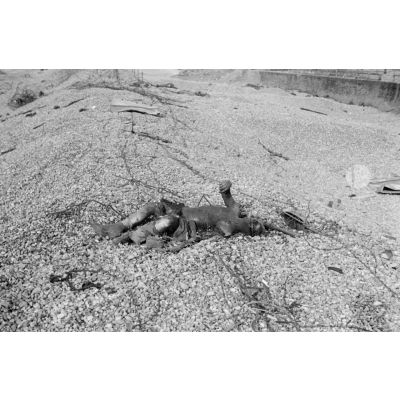 Sur la plage de Dieppe après le raid du 19 août 1942 de l'opération Jubilee, le cadavre d'un soldat canadien.