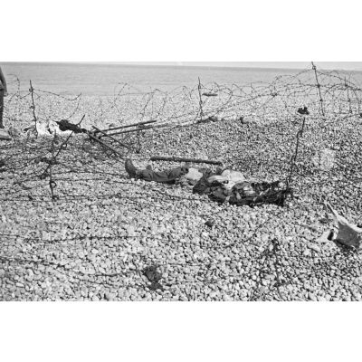 Cadavre d'un soldat canadien peu après le débarquement anglo-canadiens sur Dieppe.