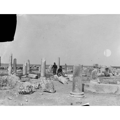 963. Boughrara, 12/04/1903, ruines romaines [de] Gigthis. [légende d'origine]