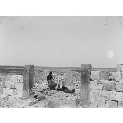 964. Boughrara, 12/04/1903, ruines romaines [de] Gigthis. [légende d'origine]