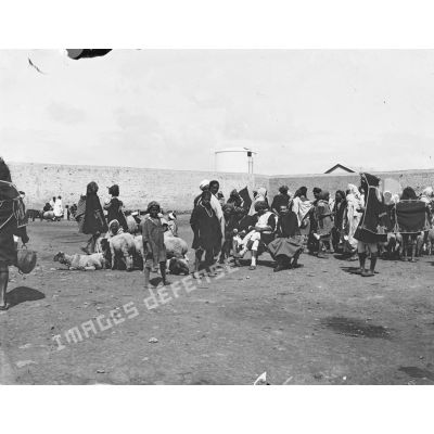 17. [Tunisie, 1902-1903. Marché aux animaux.]