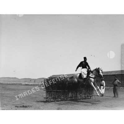 882. [Tunisie, 1902-1903. Saut d'obstacle à cheval.]
