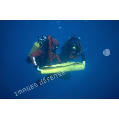 Des plongeurs prélèvent un panneau d'algues immergé pour la surveillance radiologique et bactériologique des eaux de Moruroa. [Description en cours]
