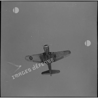 Bombardier en piqué Douglas SBD-3 Dauntless (version A-24) en plein vol.