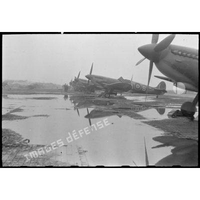 Une file de Spitfire dans la boue.