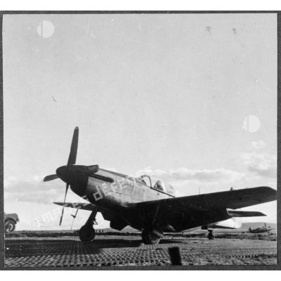 North American P-51 Mustang à l'arrêt.