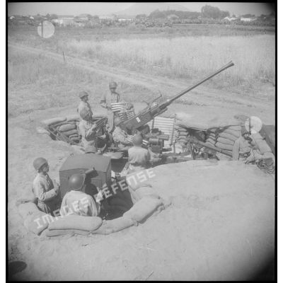 Pièce d'artillerie anti-aérienne Bofors 40 mm en position de tir près du lac de Bizerte en Tunisie.