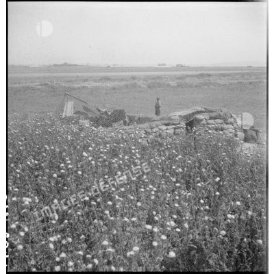 Pièce d'artillerie anti-aérienne camouflée par des filets de camouflage près de Bizerte.